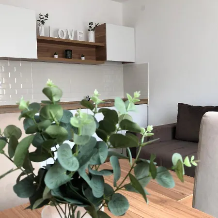 Tesla Apartman Sokobanja