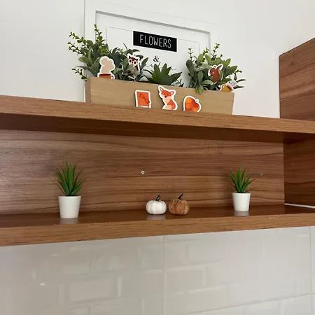 Apartman Tesla Sokobanja