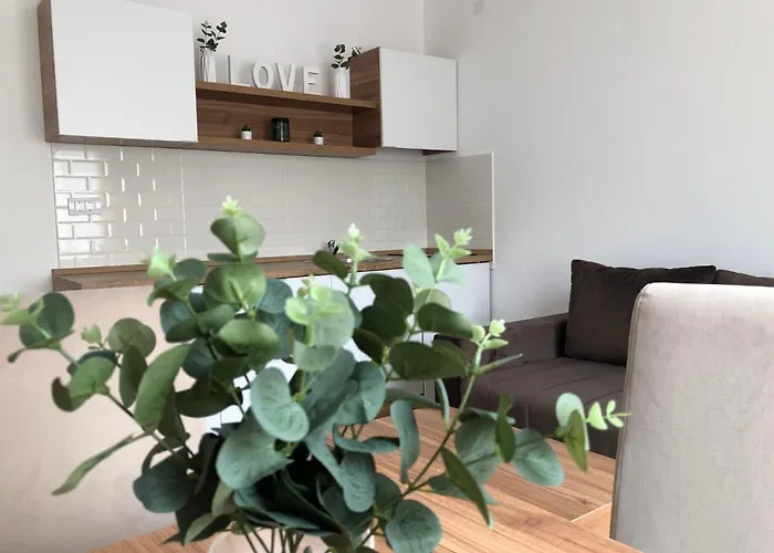 Tesla アパート ソコバニャ