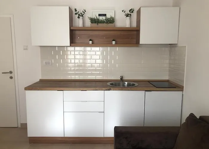 Tesla ソコバニャ