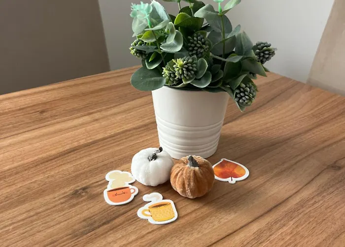 Tesla ソコバニャ